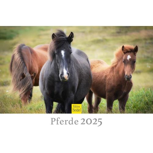 Calendrier Premium Chevaux 2025 Format Din A4 Calendrier Mural En Allemand Poulain Jument Étalon Poney Animaux Domestiques Nature