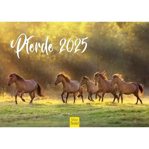 Calendrier Mural 2025 De Qualité Supérieure - Format A4 - Motif Chevaux - Animaux - Poulain - Jument - Étalon - Poney