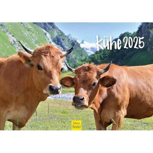 Calendrier Mural 2025 De Qualité Supérieure - Format A3 - Motif Vache, B?uf, Veau, Animaux Domestiques - Ferme