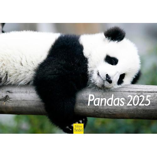 Calendrier Mural 2025 De Qualité Supérieure - Format A3 - Panda - Mammifère - Bambou - Forêt