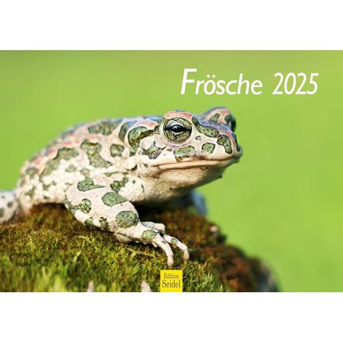 Calendrier Mural 2025 De Qualité Supérieure - Format A3 - Motif Grenouille Et Crapaud - Amphibiens