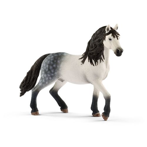 Horse Club Etalon Andalou