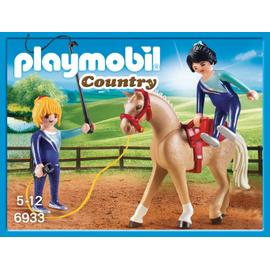 Soldes Playmobil Box avec cavalière et pur-sang Arabe (6934) 2024 au  meilleur prix sur