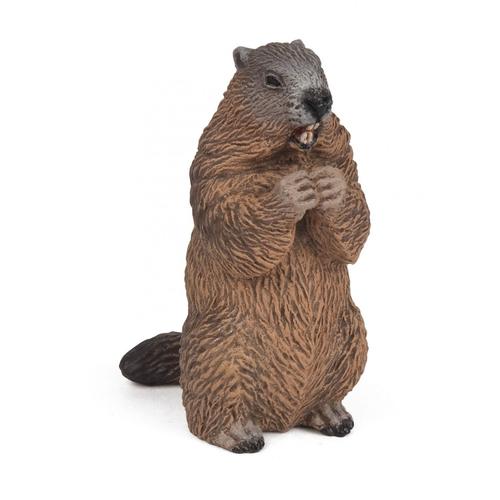 La Vie Sauvage Marmotte