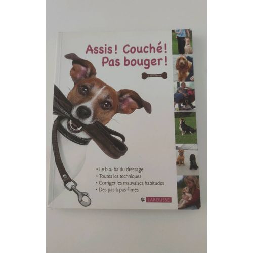 Assis! Couché ! Pas Bouger!