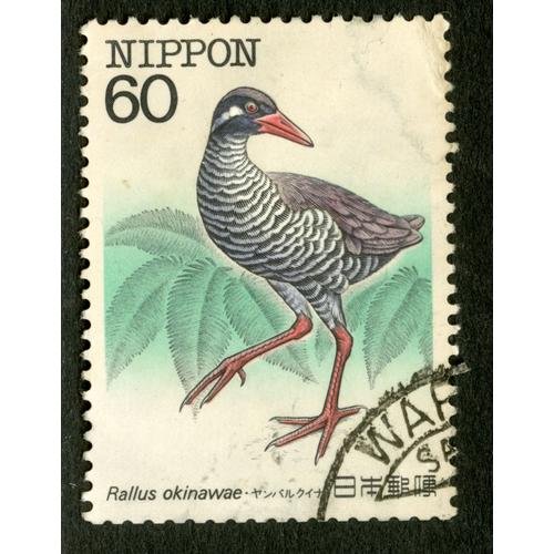 Timbre Oblitéré Nippon, Rallus Okinawae, 60