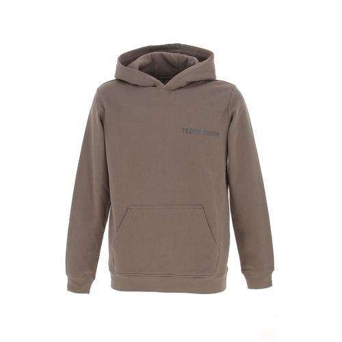 Sweat Capuche Hooded Teddy Smith S-Required Hood Marron