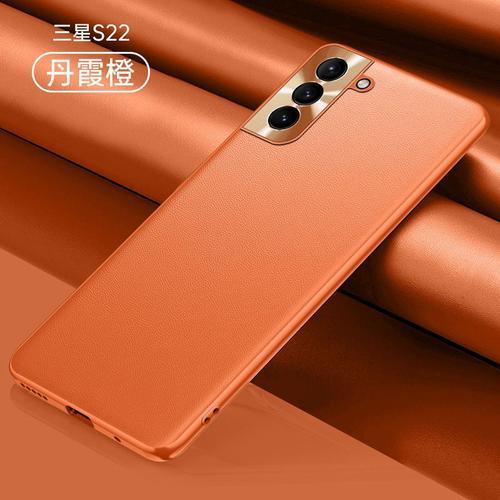 Etui Coque Pour Étui Pour Téléphone Portable En Cuir Uni Résistant Aux Chutes Avec Lentille Métallique Pour Samsung S22+, Orange Danxia [Cuir Uni Matériel]