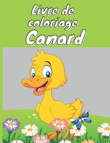 Livre De Coloriage Canard Pour Enfants À Partir De 3ans: Livre De Coloriage D'adorables Canards, Grand Format 21,59cm X 27,94cm, 42 Pages