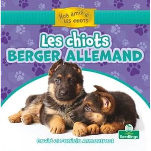 Les Chiots Berger Allemand (German Shepherd Puppies)