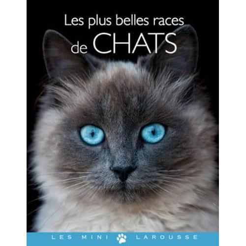 Les Plus Belles Races De Chats