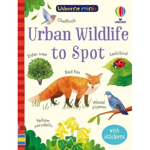 Urban Wildlife To Spot