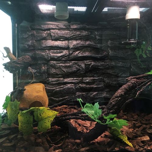 Plantes En Plastique Pour Reptiles, Plantes De Jungle, Branches De Vignes, Terrarium, Dragon Barbu, Lézard, Serpent, Décor Pour L'habitat