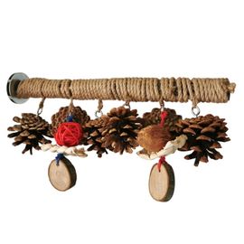 Support À Mâcher Pour Perroquet, Perche, Oiseau, Perchoir, Pour La Recherche De Nourriture, Livraison Directe