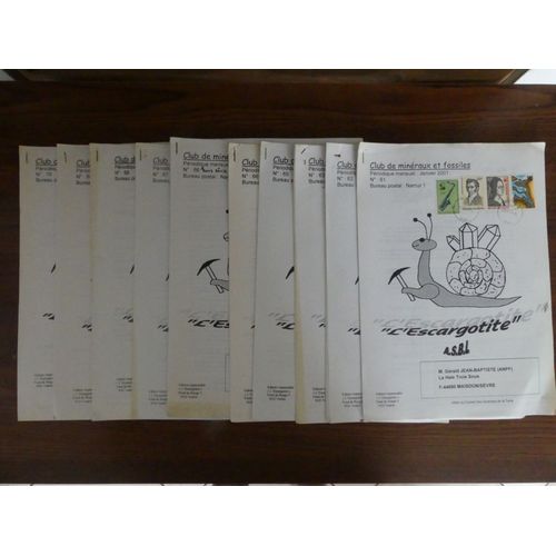 L'escargotite. Namur. Belgique. Revue De Minéralogie, Paléontologie Et Sciences De La Terre. Année 2001. Lot De 10 Numéros