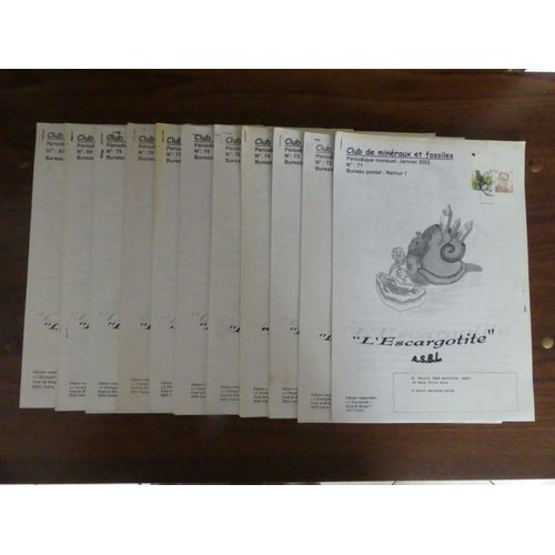 L'escargotite. Namur. Belgique. Revue De Minéralogie, Paléontologie Et Sciences De La Terre. Année 2002. Lot De 11 Numéros