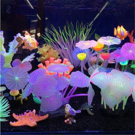 Pierres Phosphorescentes Multicolores - Décorations Aquarium