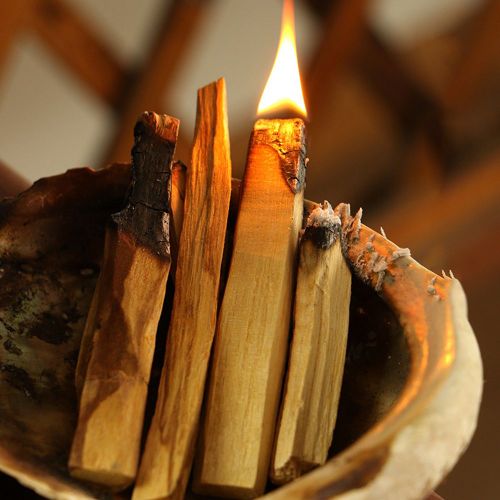 Palo ? bâtonnets d'encens en bois, sans odeur, pour diffuseur d'arôme et de taches, aromathérapie
