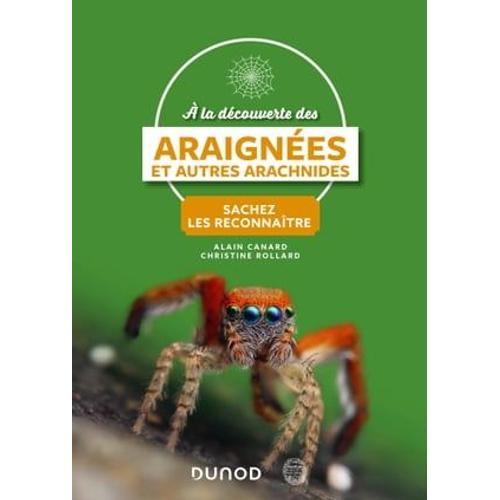 A La Découverte Des Araignées Et Autres Arachnides