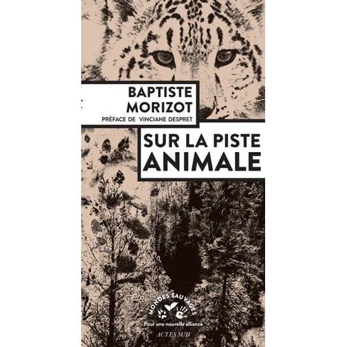 Sur La Piste Animale