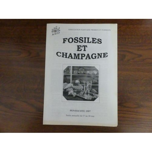Association Nantaise Pierres Et Fossiles. Fossiles Et Champagne. Pentecôte 1997. Sortie Annuelle Du 17 Au 20 Mai