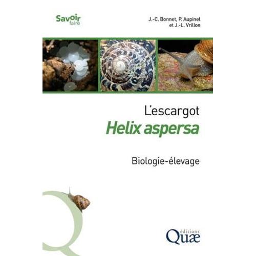 L'escargot Helix Aspersa