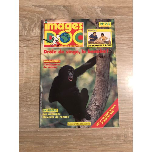 Image Doc N° 73 : Drole De Singe Le Bonobo