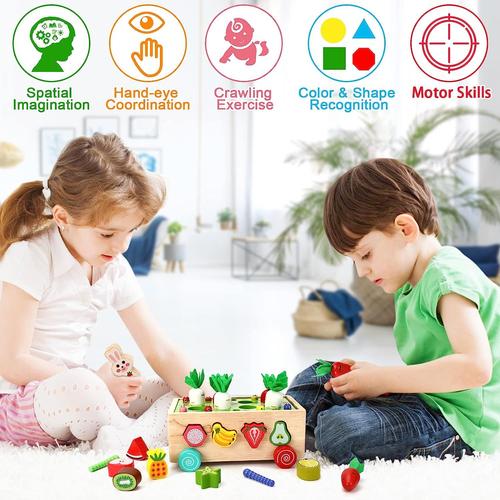 Jouets Éveil Montessori, Bebe Enfant 1 2 3 an, Montessori 2 Ans, Jeu De  Tri en Bois Récolte De Carottes, Apprentissage pour Garçons Filles De 2 À  3 Ans