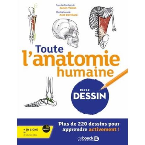 Toute L'anatomie Humaine Par Le Dessin