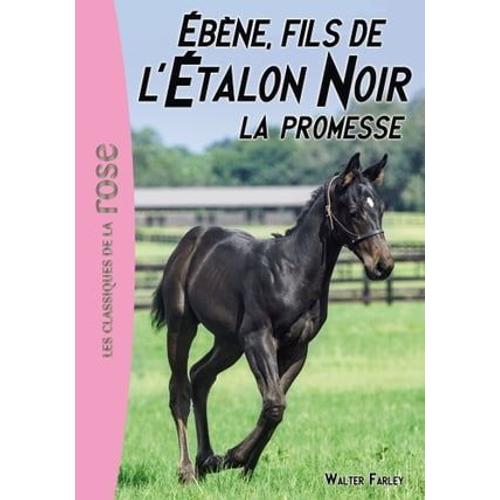 L'étalon Noir 21 - Ébène, Le Fils De L'étalon Noir