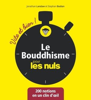 Le Bouddhisme Vite Et Bien Pour Les Nuls