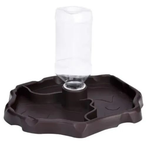 Reptile Tortue Lézard Rampant Choke Feeder, Distributeur D'eau Potable, Bol De Distributeur De Nourriture Rollover 2 En 1, Bol En