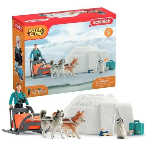 Wild Life Expédition En Antarctique