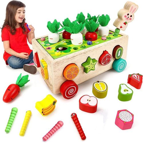 Jouets Éveil Montessori |Bebe Enfant 1 2 3 An | Montessori 2 Ans | Jeu De Tri En Bois Récolte De Carottes | Apprentissage Pour Garçons Filles De 2 À 3 Ans