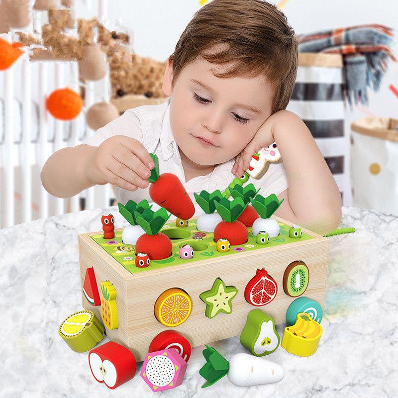 Jeux Montessori, Jouet Enfant 2 en 1 Garcon Fille Éducatif, Jouet en Bois,  Récolte de Carottes, Reconnaissance des Fruits, des Forme - Cdiscount  Beaux-Arts et Loisirs créatifs