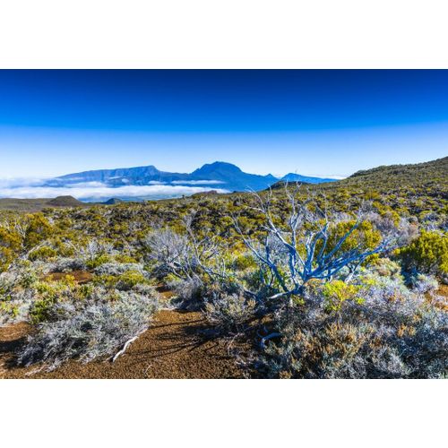 Piton Des Neiges, La Réunion, France - Puzzle 1000 Pièces
