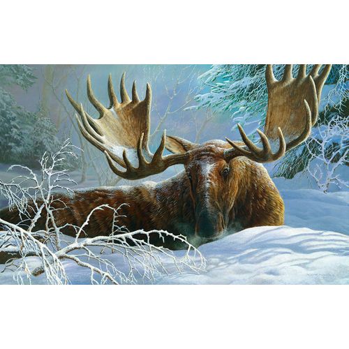 Couverture D'hiver - Puzzle 550 Pièces