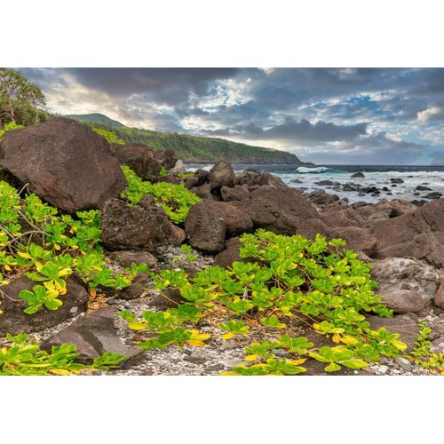 Côte Sud, La Réunion, France - Puzzle 1000 Pièces