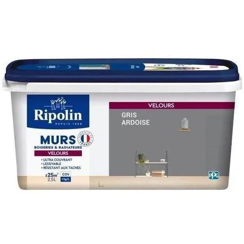 RIPOLIN Peinture Couleur Velours pour Murs. Boiseries Radiateurs - Gris ardoise