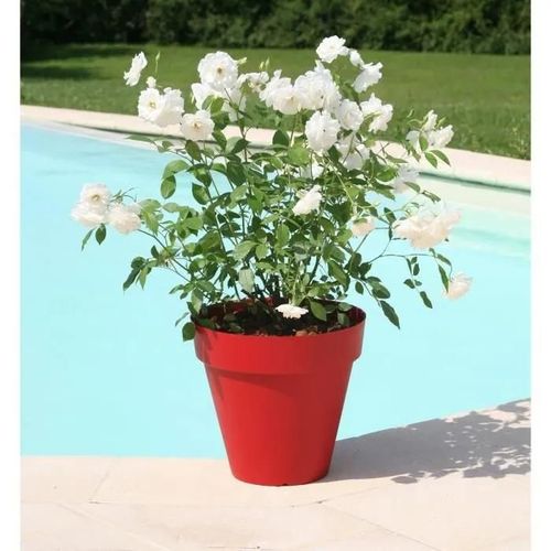 Riviera Pot De Fleurs Soleilla - Rond - Ø 49 X 44.8 Cm - Rouge