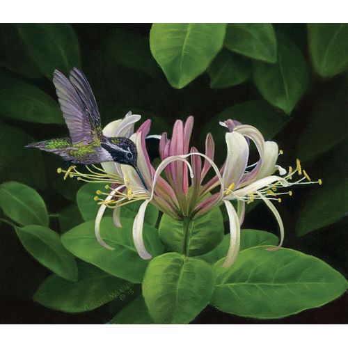 Trouver Du Nectar - Puzzle 550 Pièces