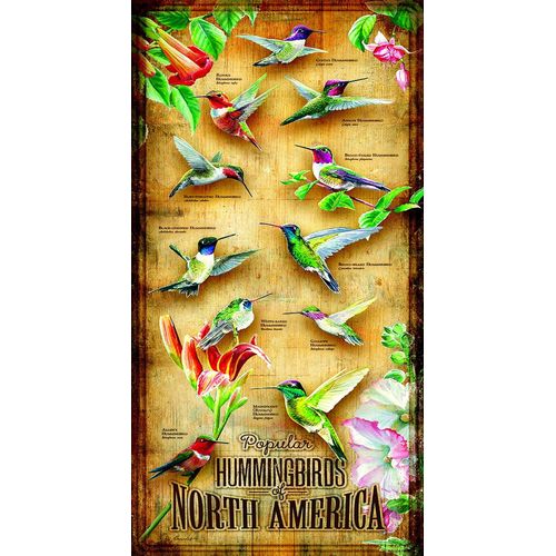 Puzzle Pièces Xxl - Colibris D'amérique Du Nord - Puzzle 500 Pièces