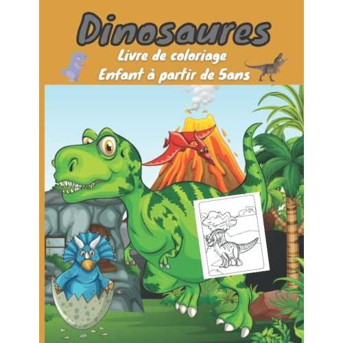 Dinosaures Livre De Coloriage Enfant À Partir De 5ans: 30 Dessins De Dinosaures À Colorier, Cahier De Coloriage Grand Format, 62 Pages