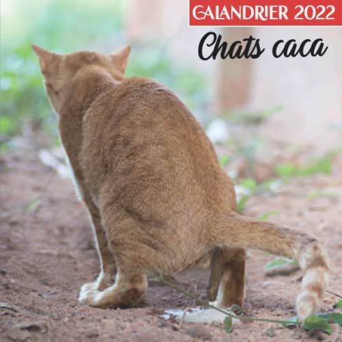 Calandrier 2022 Chats Caca: Cadeaux Drôles Du Calendrier 2022 Mensuel De 12 Mois ( De Janvier À Décembre 2022 ) Avec Note | Spècialement Pour Les ... Pour Homme, Femme, Adolescent, Enfant