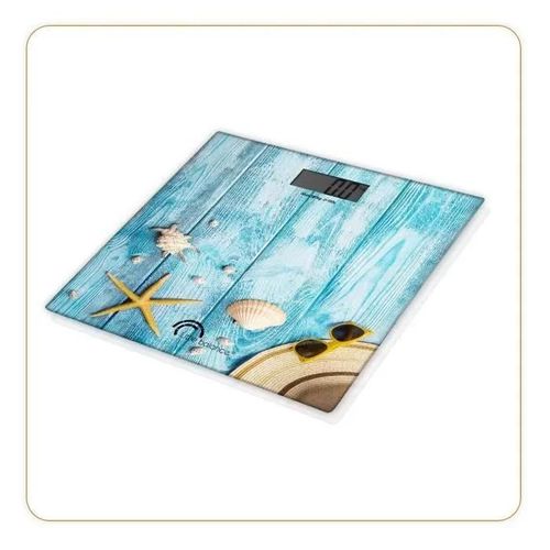 Little Balance Seashells - Balance
