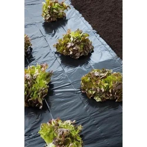 Film de paillage LDPE 10 m x 140 cm noir 30mic - Nature