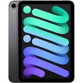 Tablette Apple iPad mini 6 (2021) 256 Go Wi-Fi + Cellular Gris