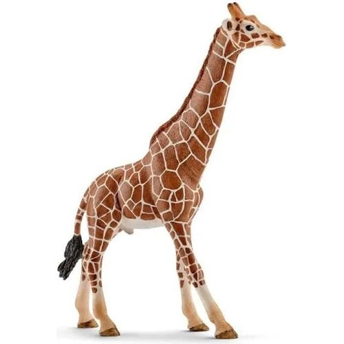 Wild Life Girafe Mâle