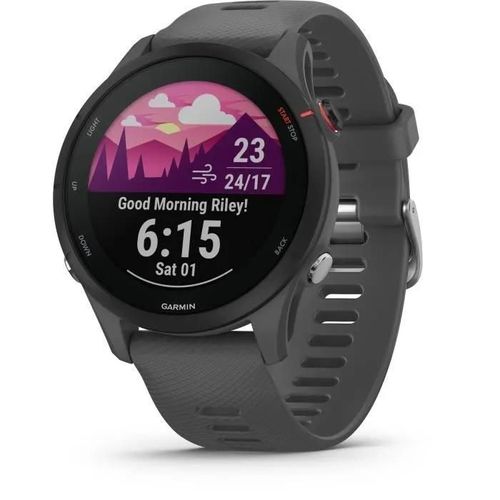Garmin Forerunner 255 Gps 46 Mm Gris Ardoise (010-02641-10)