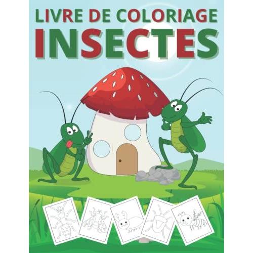 Livre De Coloriage Insectes: Insectes Livre De Coloriage Pour Les Enfants Pour Garçons Et Filles